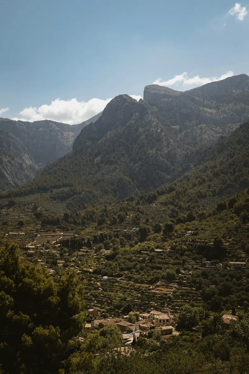 Tramuntana Insight