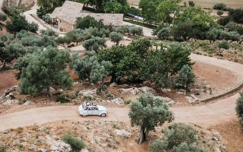 Private Olive Farm